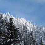 Alpine Snow
 / Много снега
